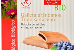 GALLETAS ARANDANO TRIGO SARRACENO GERMINAL